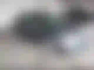 Vehicle Image- 2011 Honda Civic