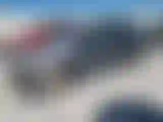 Vehicle Image- 2010 Honda Civic