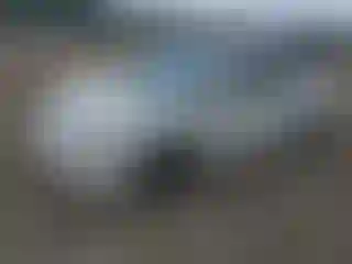 Vehicle Image- 2010 Honda Civic