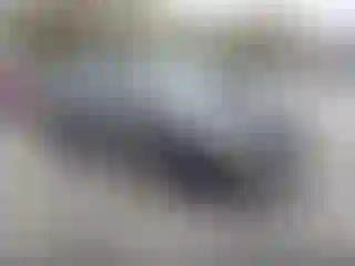 Vehicle Image- 2007 Honda Civic