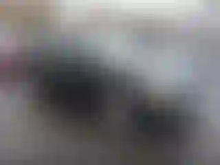 Vehicle Image- 2013 Honda Civic