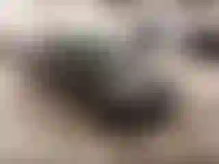 Vehicle Image- 2013 Honda Civic