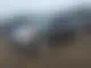 Vehicle Image- 2012 Honda Civic