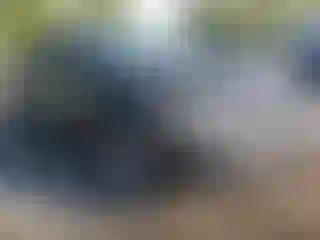 Vehicle Image- 2013 Honda Civic