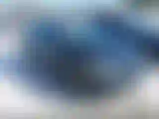 Vehicle Image- 2014 Honda Civic