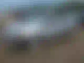 Vehicle Image- 2012 Honda Civic