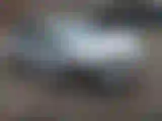 Vehicle Image- 2014 Honda Civic
