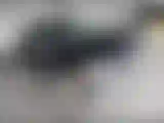 Vehicle Image- 2012 Honda Civic