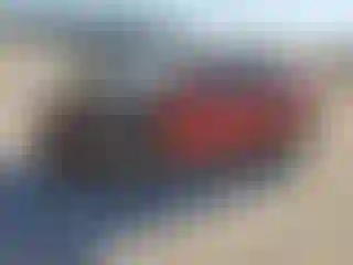 Vehicle Image- 2014 Honda Civic