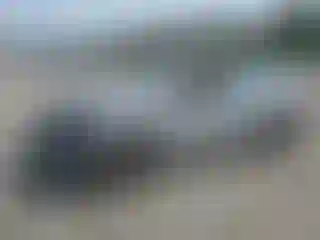 Vehicle Image- 2021 Honda Civic