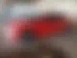 Vehicle Image- 2016 Honda Civic