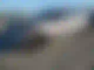 Vehicle Image- 2016 Honda Civic