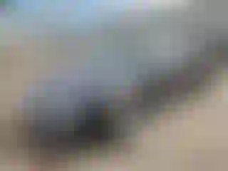 Vehicle Image- 2016 Honda Civic