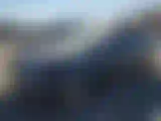 Vehicle Image- 2017 Honda Civic