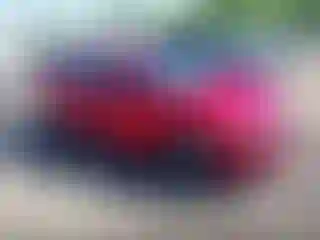 Vehicle Image- 2017 Honda Civic