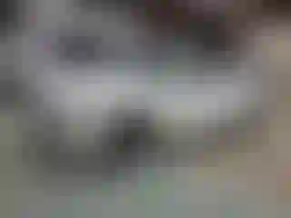 Vehicle Image- 2018 Honda Civic