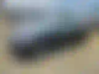 Vehicle Image- 2020 Honda Civic