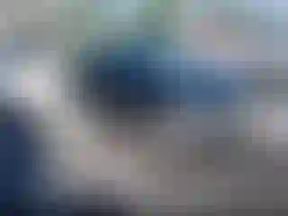 Vehicle Image- 2021 Honda Civic