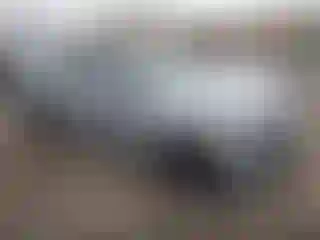 Vehicle Image- 2021 Honda Civic