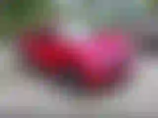 Vehicle Image- 2020 Honda Civic