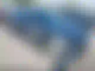 Vehicle Image- 2019 Honda Civic
