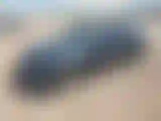 Vehicle Image- 2021 Honda Civic