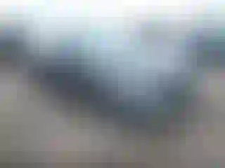 Vehicle Image- 2019 Honda Civic