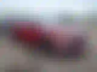 Vehicle Image- 2020 Honda Civic