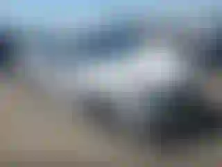 Vehicle Image- 2019 Honda Civic