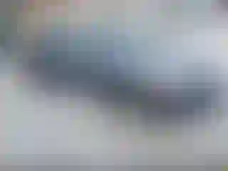 Vehicle Image- 2018 Honda Civic