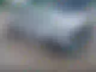 Vehicle Image- 2019 Honda Civic