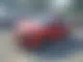 Vehicle Image- 2021 Honda Civic