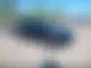 Vehicle Image- 2019 Honda Civic