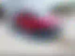 Vehicle Image- 2021 Honda Civic