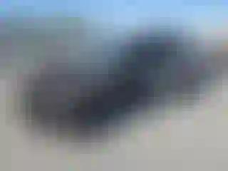 Vehicle Image- 2019 Honda Civic