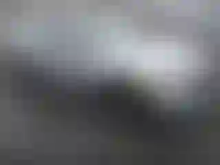 Vehicle Image- 2021 Honda Civic