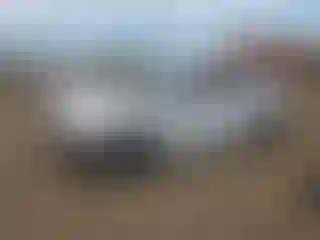 Vehicle Image- 2021 Honda Civic