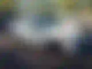 Vehicle Image- 2018 Honda Civic