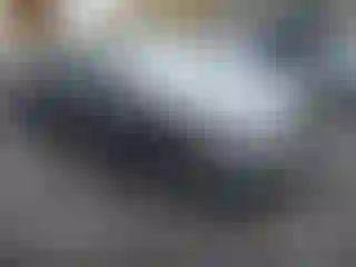 Vehicle Image- 2018 Honda Civic