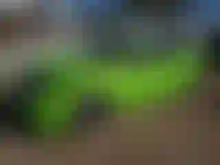 Vehicle Image- 2016 Honda Civic