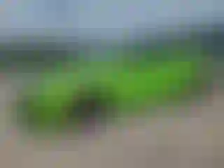 Vehicle Image- 2016 Honda Civic