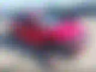 Vehicle Image- 2020 Honda Civic