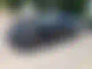 Vehicle Image- 2024 Honda Civic