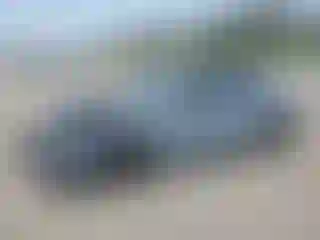 Vehicle Image- 2024 Honda Civic