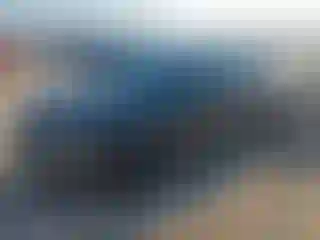 Vehicle Image- 2024 Honda Civic
