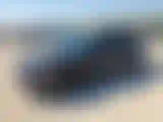 Vehicle Image- 2025 Honda Civic