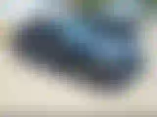 Vehicle Image- 2023 Honda Civic