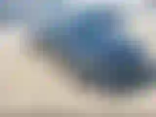 Vehicle Image- 2024 Honda Civic