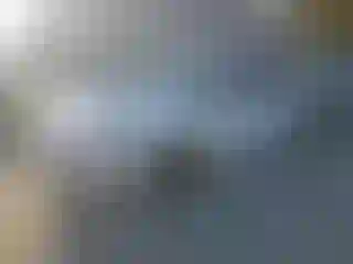 Vehicle Image- 2024 Honda Civic