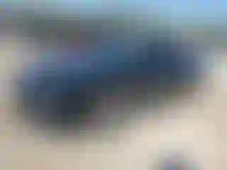 Vehicle Image- 2023 Honda Civic